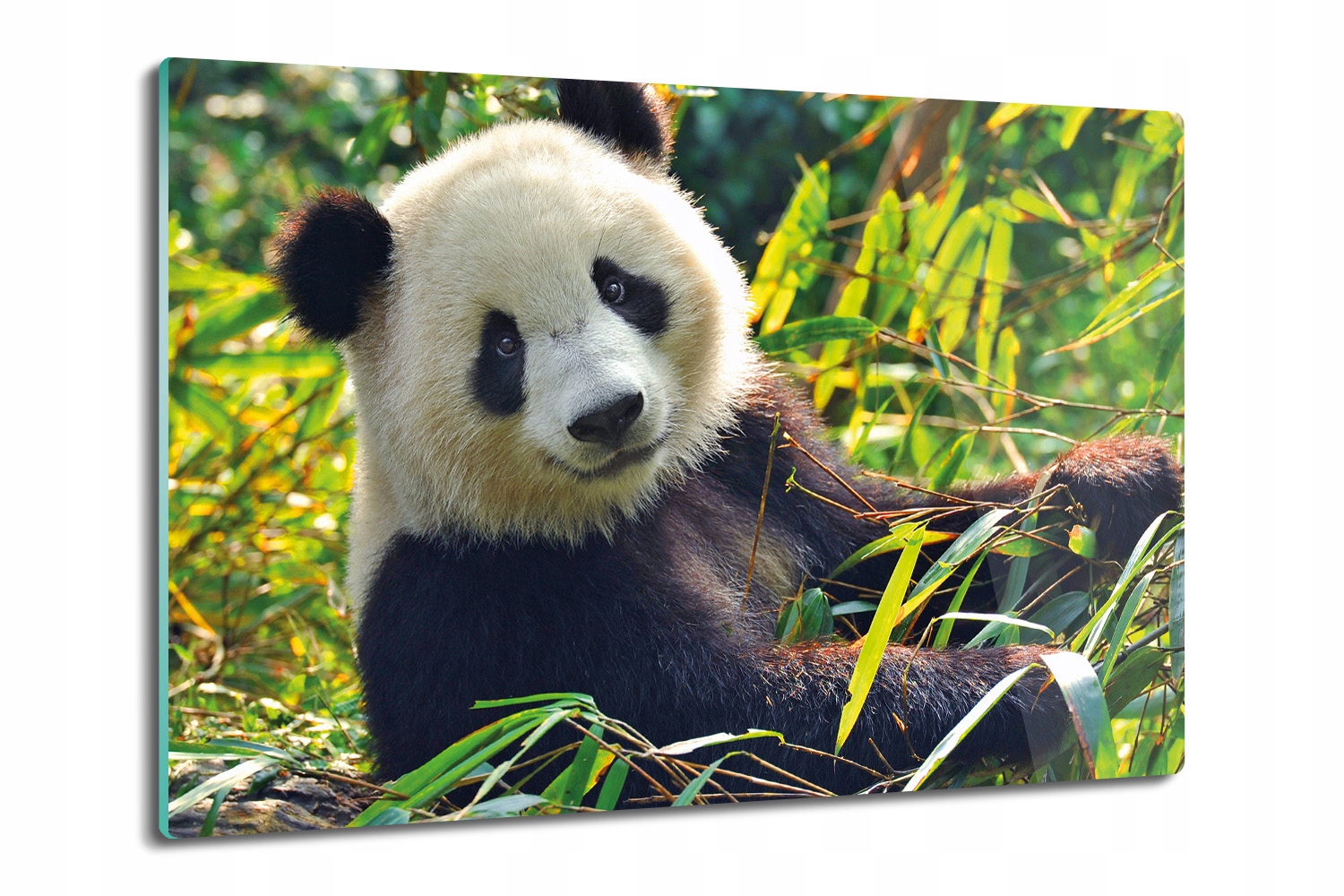 Kuchyňská deska na servírování sýrů pizzy 80x52 moderní Panda bambus