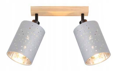 Nástěnná a stropní lampa Dafne 2