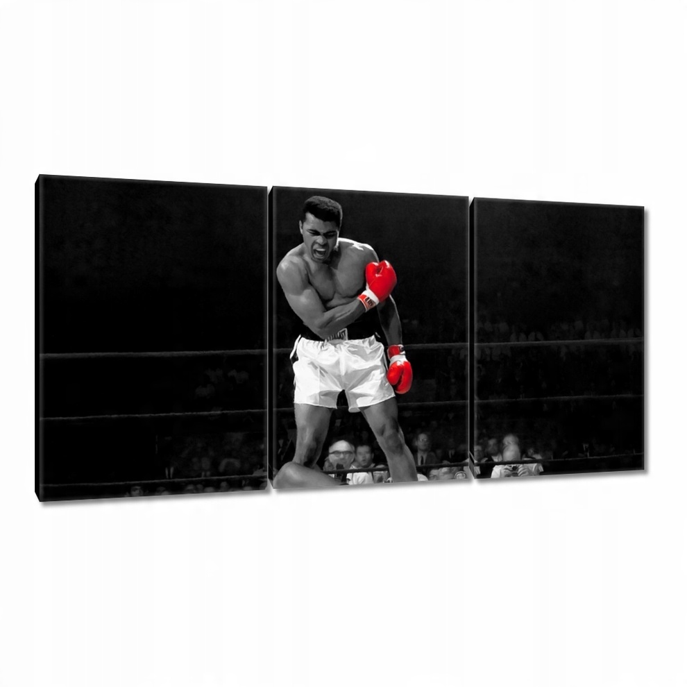 

Obrazy 120x60 Muhhamad Ali Boxer Bokser
