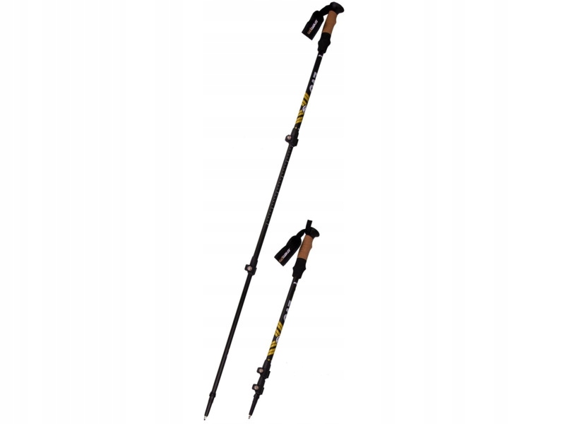 Kijki do nordic walking Enero Pro Evo (110 135 cm) Czarny