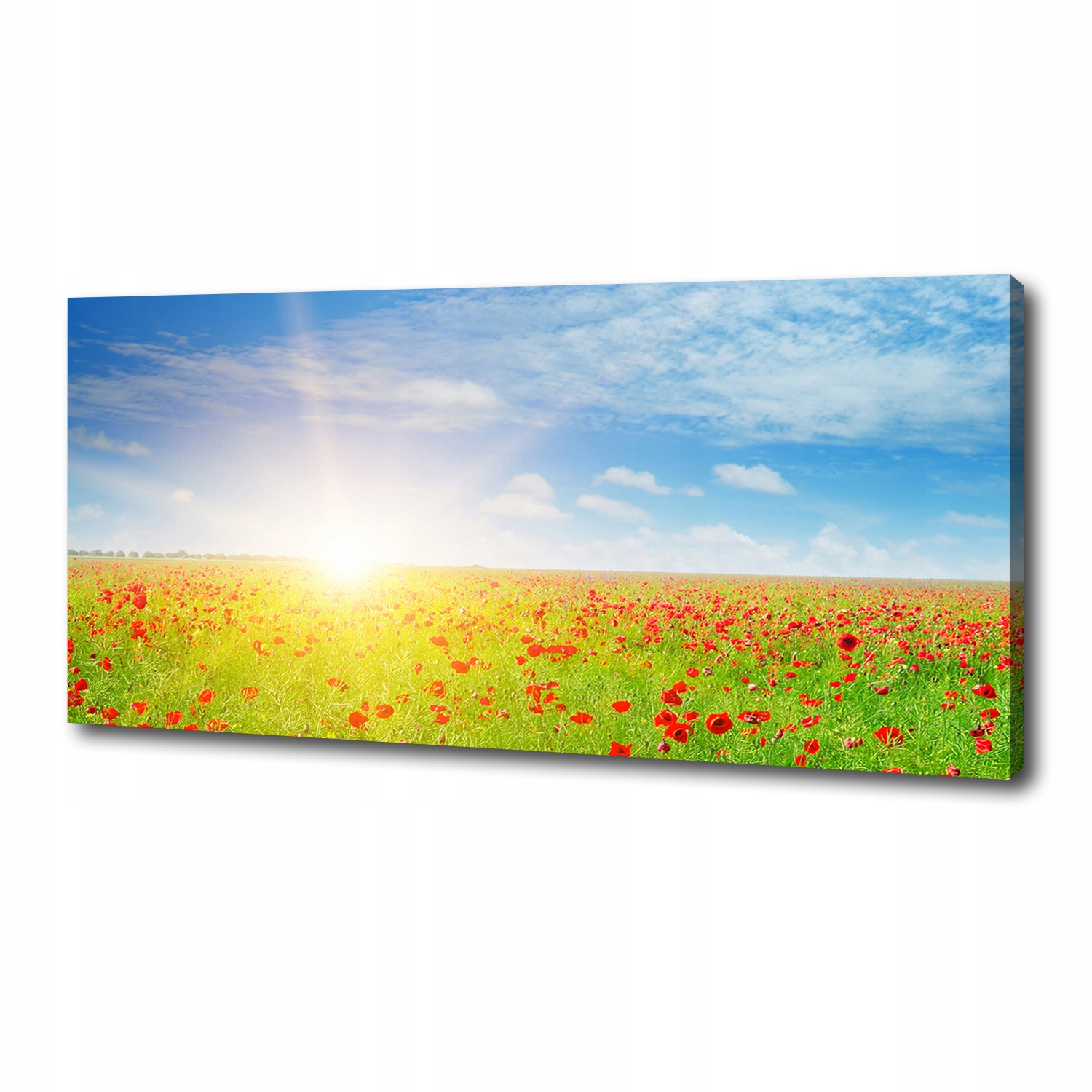 

Foto obraz canvas na ścianę Pole maków 125x50 cm