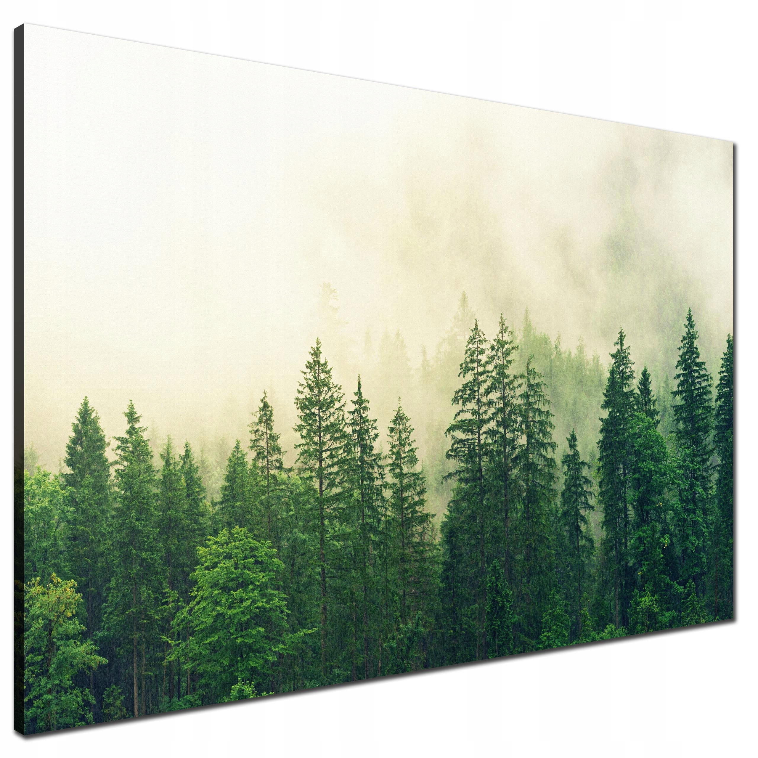 

Obraz na płótnie Las drzewa Mgła zieleń 120x80cm