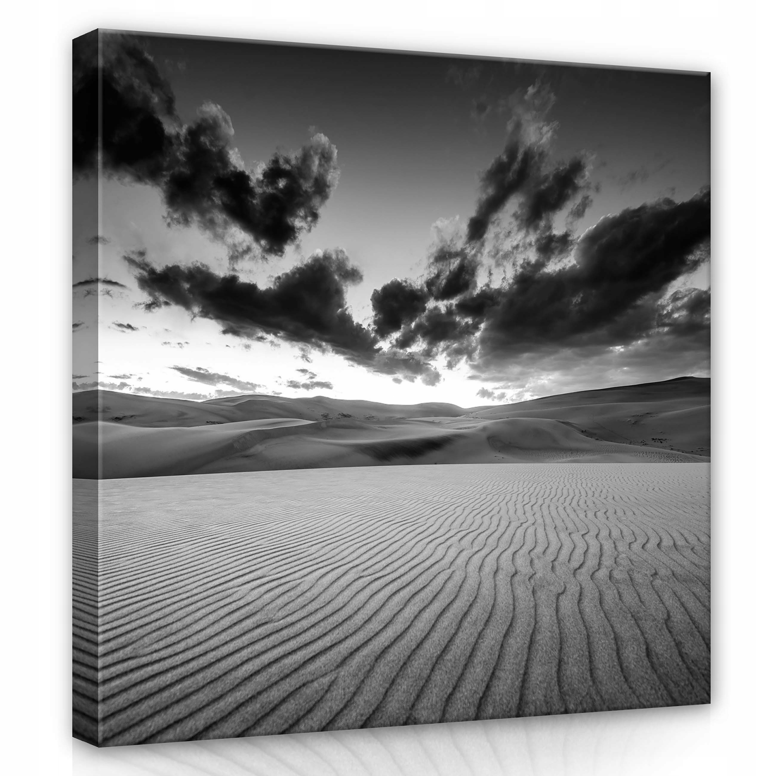 Obraz 80x80 Poušť duny písek nebe mraky monochromatické