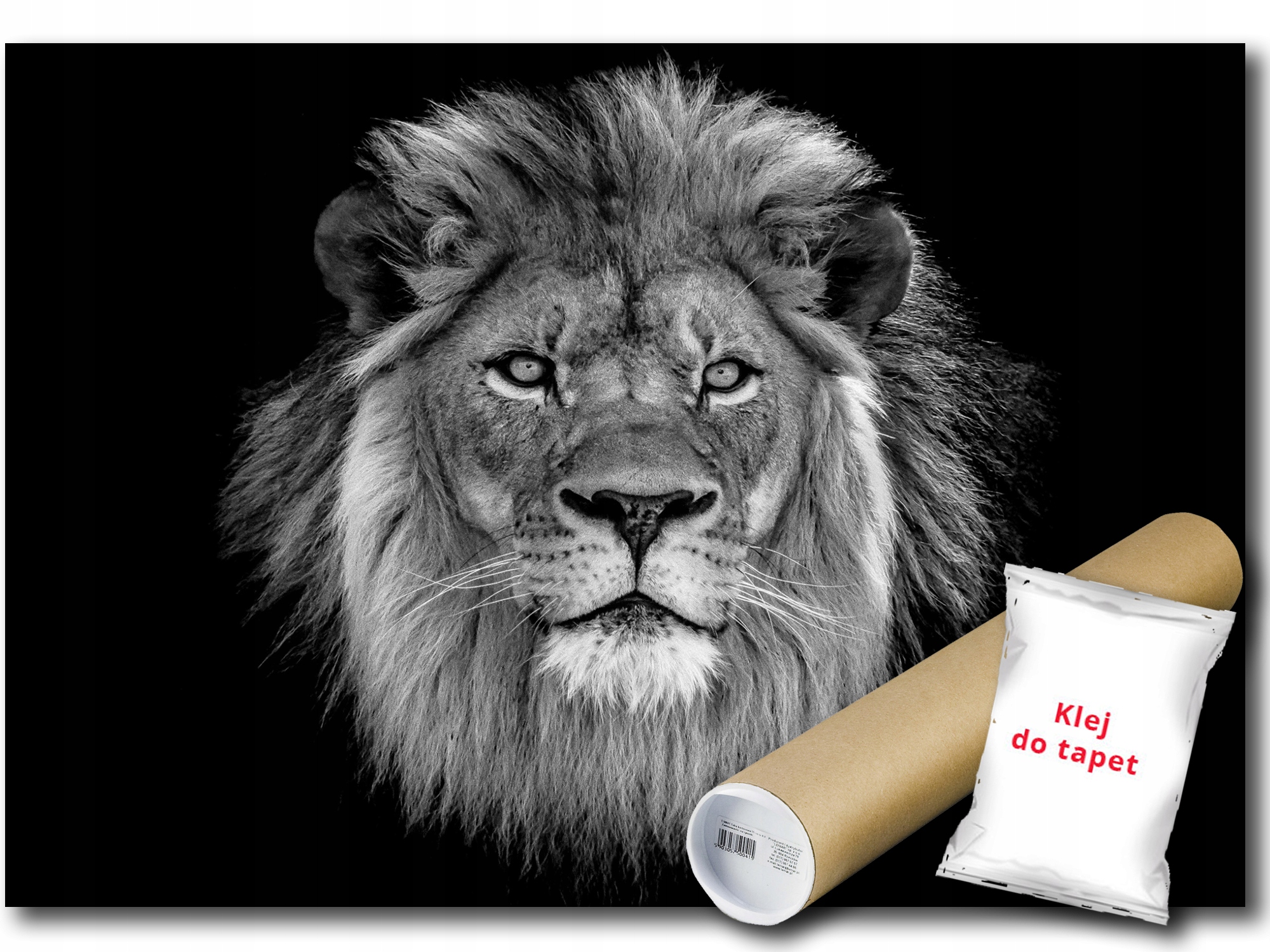 Vinylová Fototapeta Lev Portrét B&w 254x184