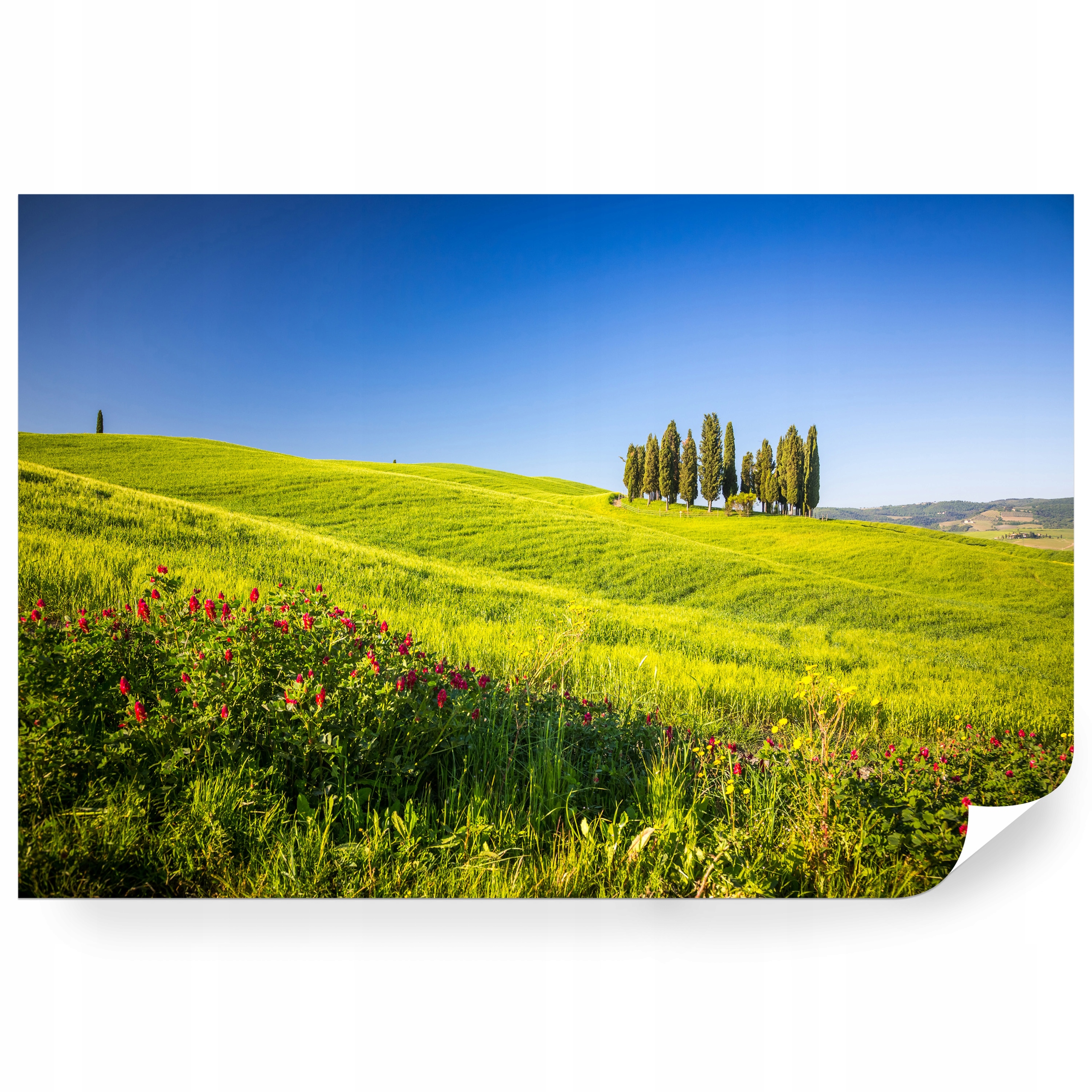 Fototapeta samolepicí Jarní Panorama Toskánských Kopců 416 x 290 cm