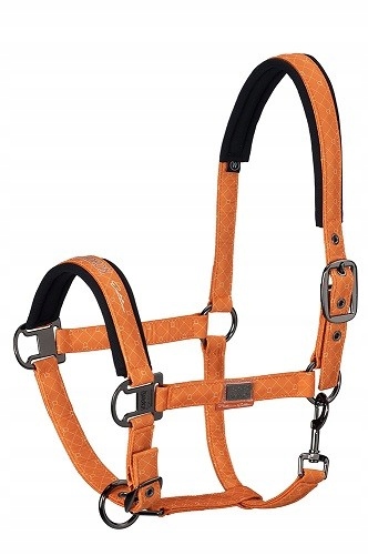 Kantar Eskadron Glossy Platinum vermillion-orange Pony