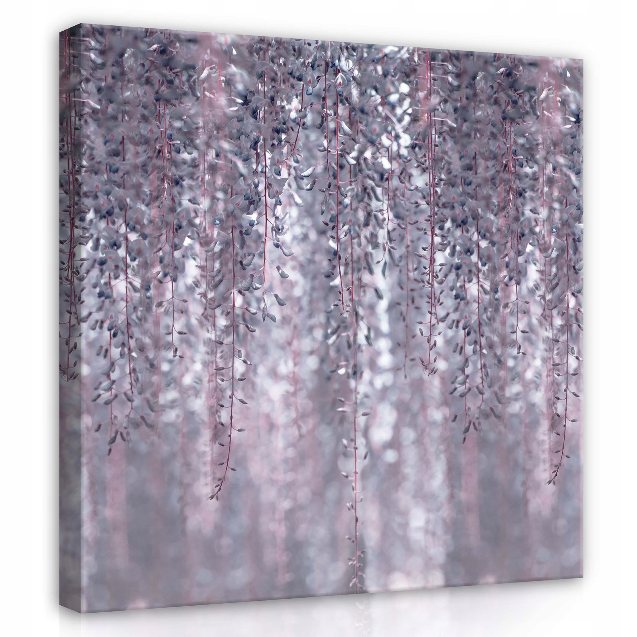 Obraz 80x80 Glycinia květiny jemnost pastel snění klid jaro