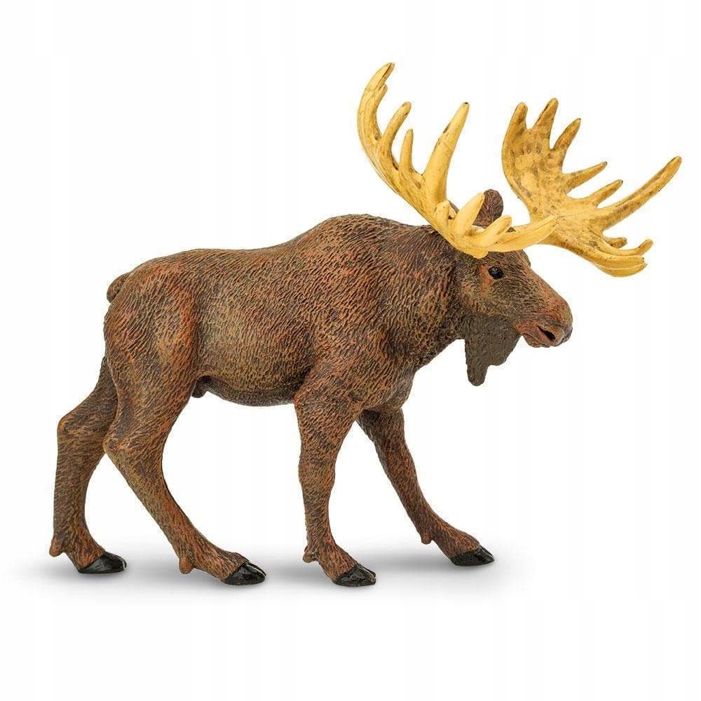 

Łoś Euroazjatycki Moose Safari Ltd. 290029