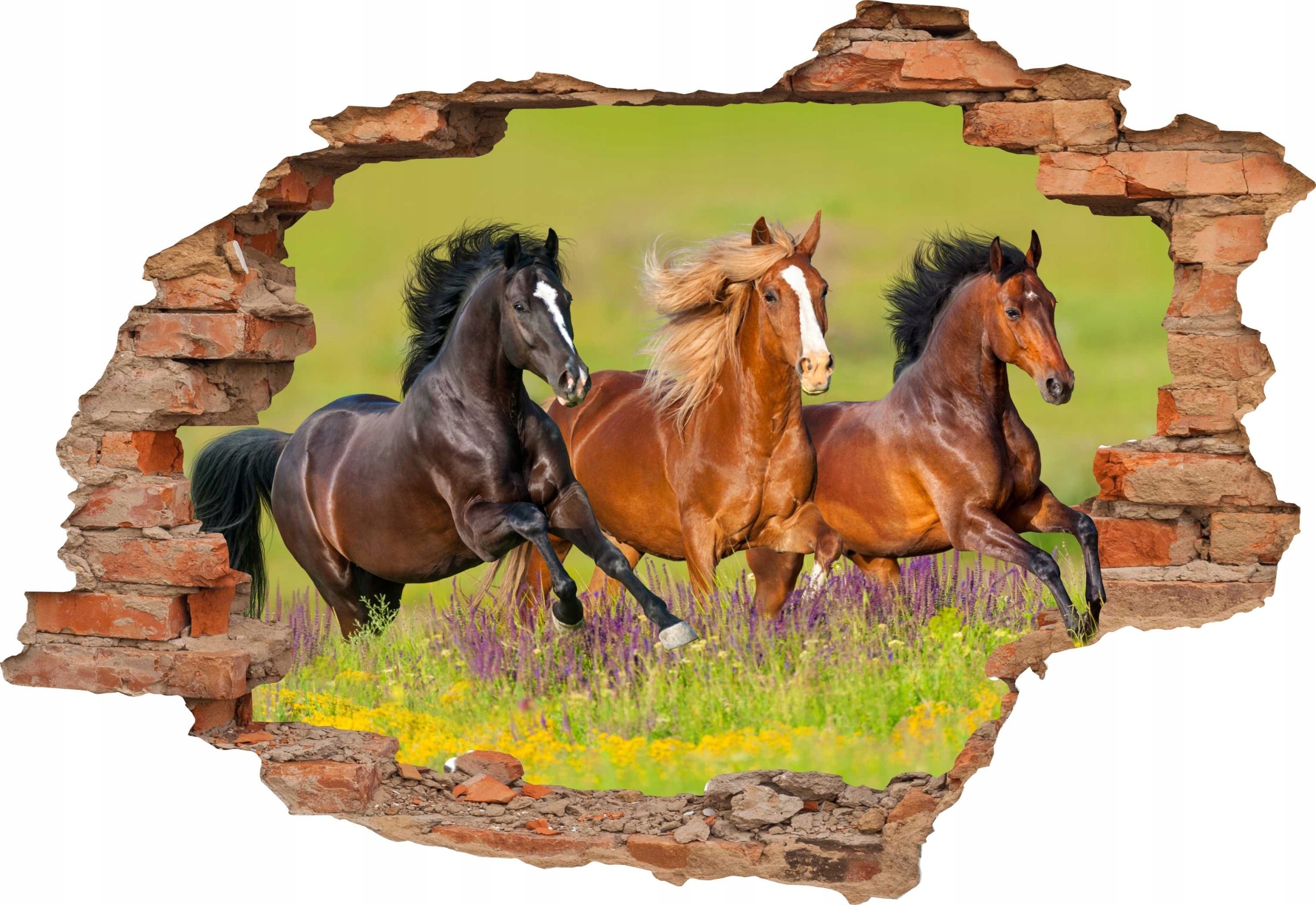 

Naklejki na ścianę 3D Koń Konie 130x90cm maxwybór