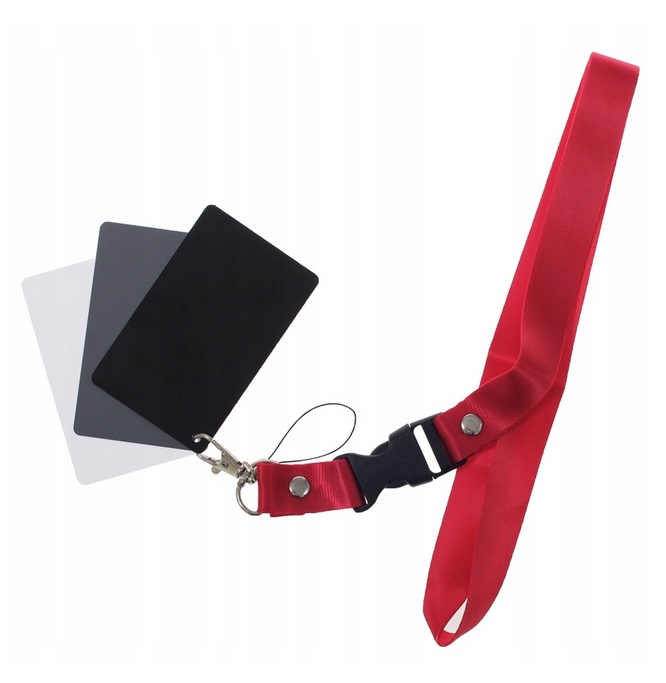 

Zestaw Kart Do Balansu Bieli Szara Karta 54x85 Gm