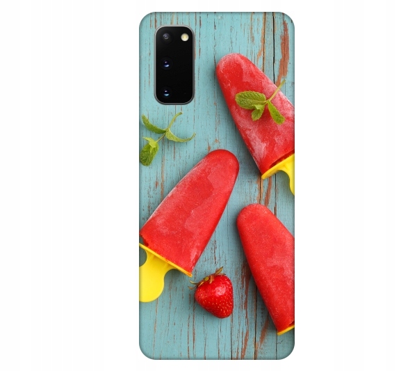 

Etui na telefon Samsung Galaxy S20 Lody na patyku