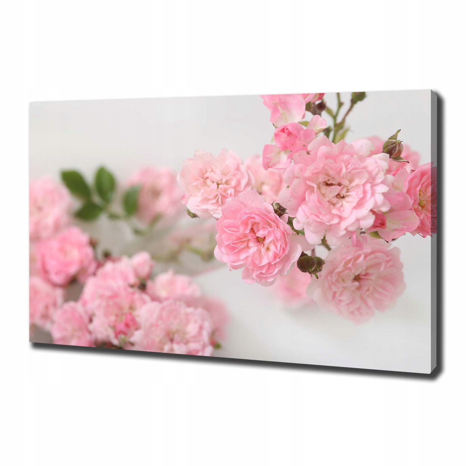 

Foto obraz canvas na ścianę Dzikie róże 100x70 cm