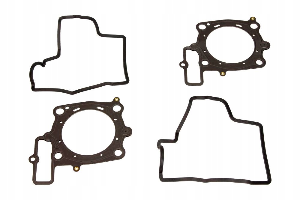 ZESTAW USZCZELEK SILNIKA KPL. MOTO. APRILIA RXV 550 2006-2011