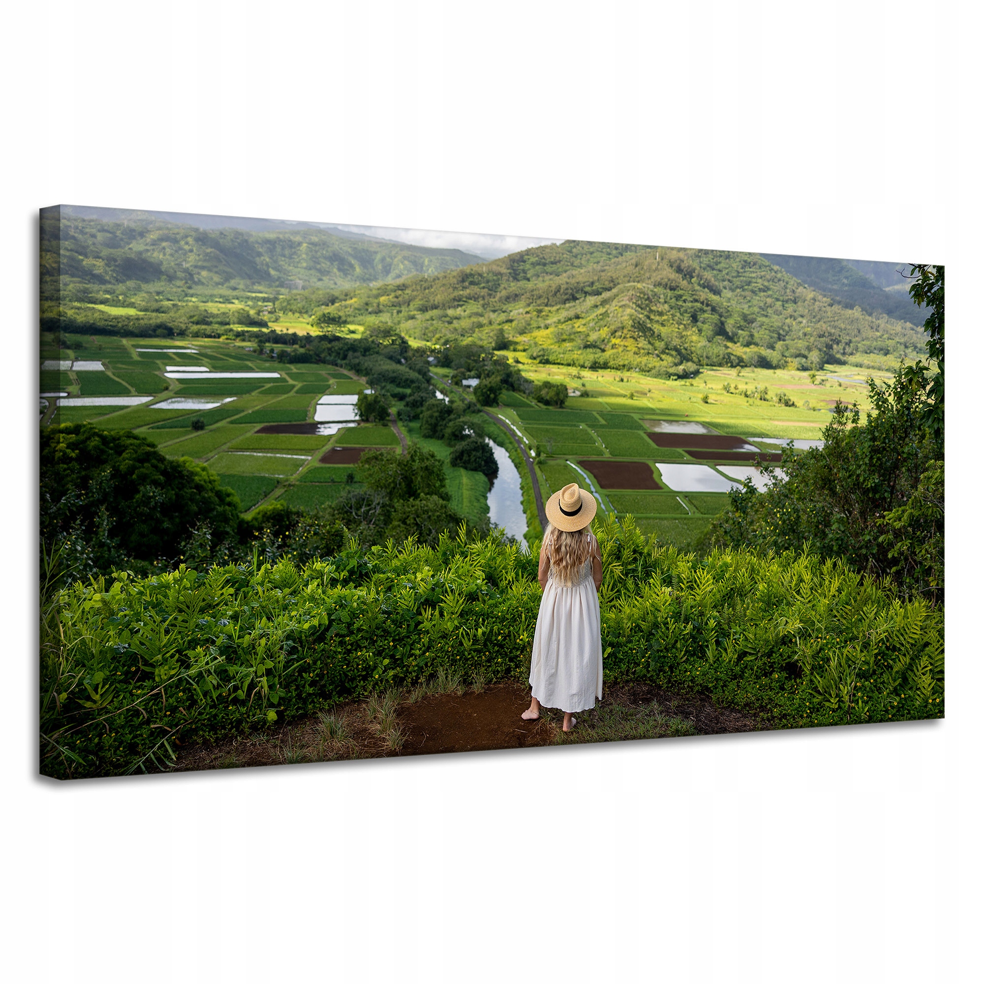 Obraz Canvas Příroda Žena pohled na hory 120x60