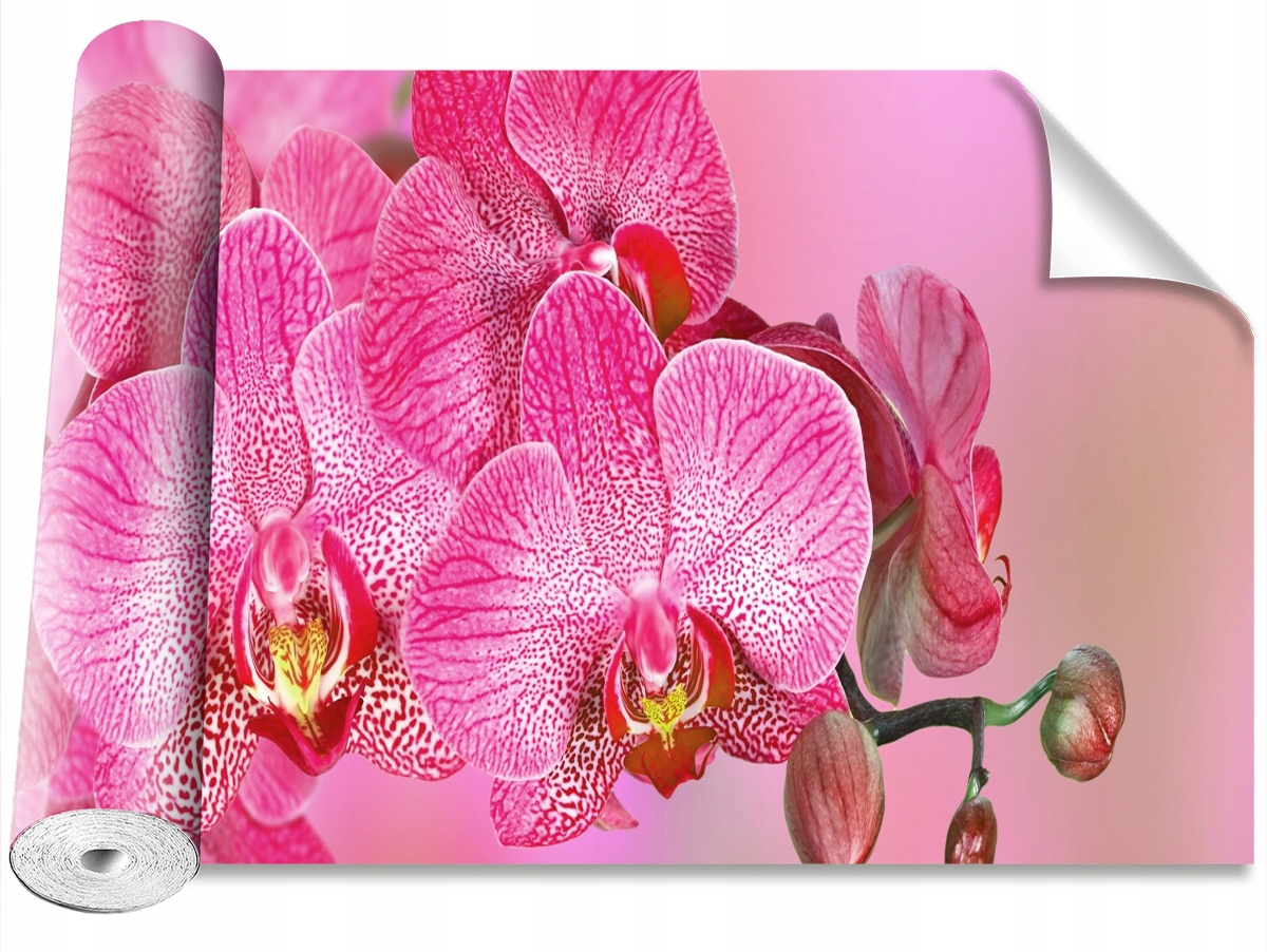 

Tapeta Samoprzylepna Różowy Orchidea 104x70