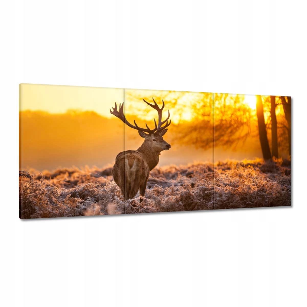 Obrazy 210x100 Jeleň pri východe slnka