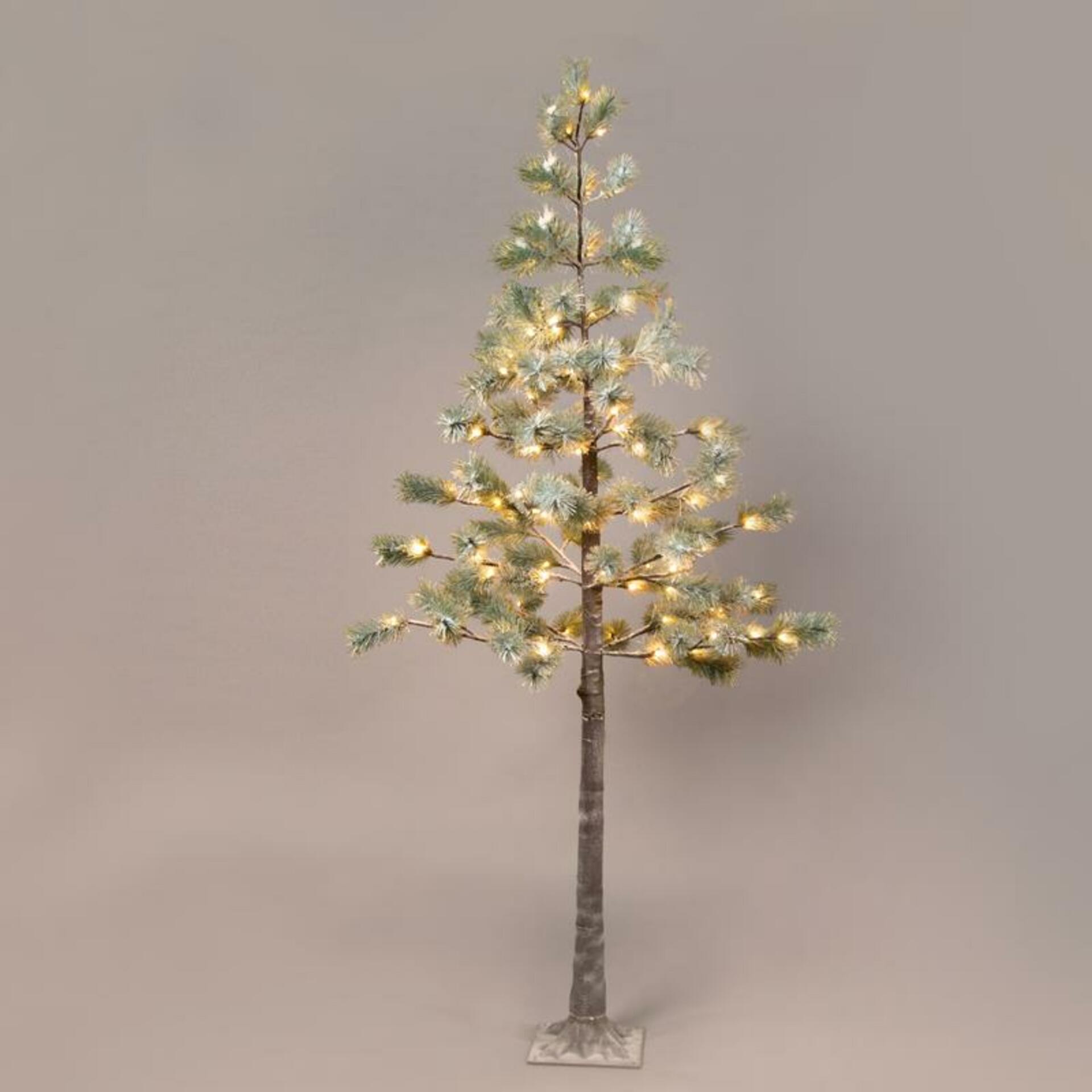 Aca Lighting zasnežená borovica 128 Ww Led 220-240V IP44 26x26x240cm 3m hnevu