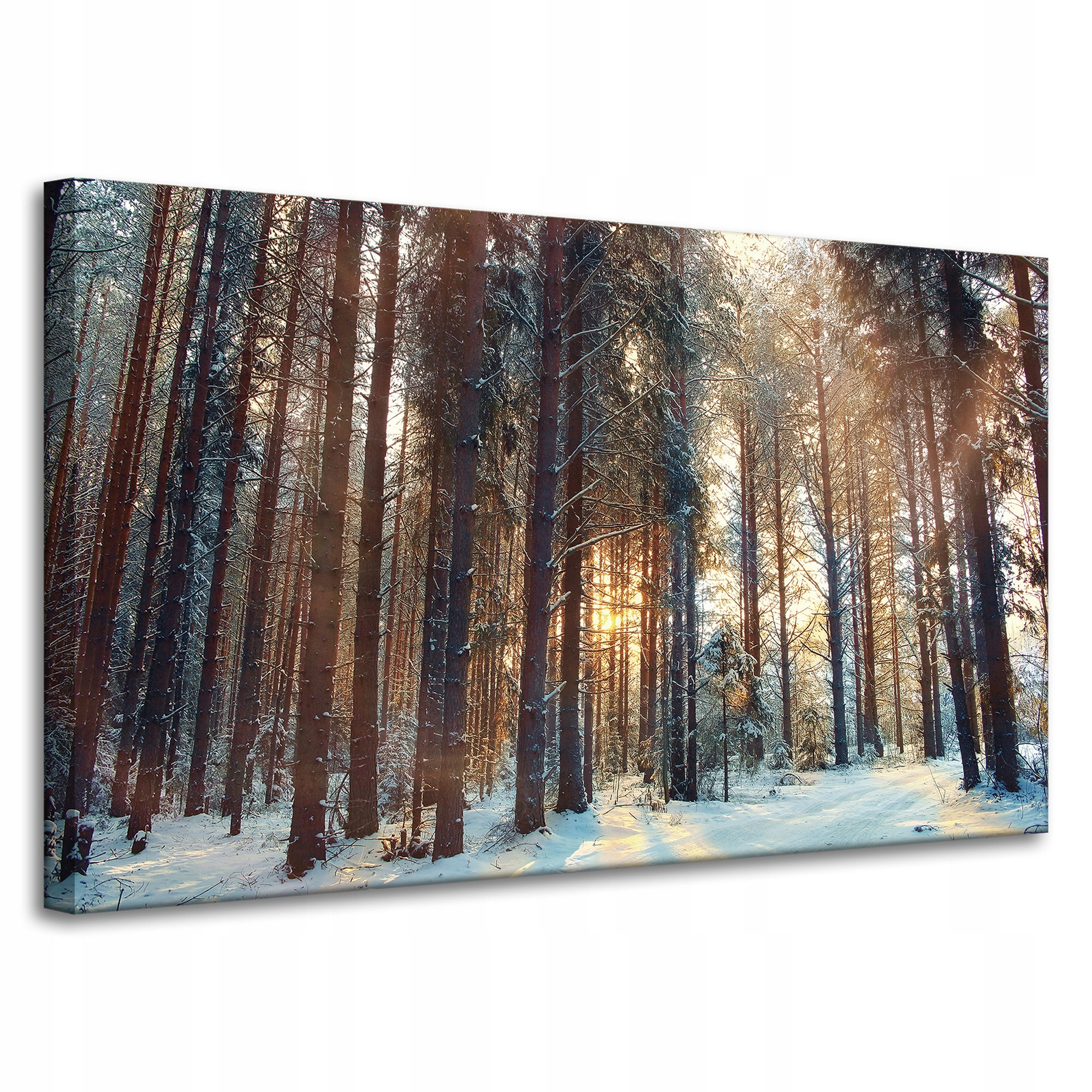 Obraz na plátně Les Zima Sníh Bílá Příroda 100x60 cm Ideální jako dárek