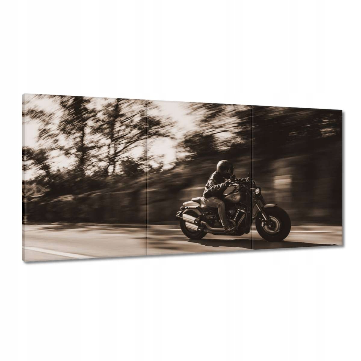 Obrazy 180x90 Harley Davidson Motocykel