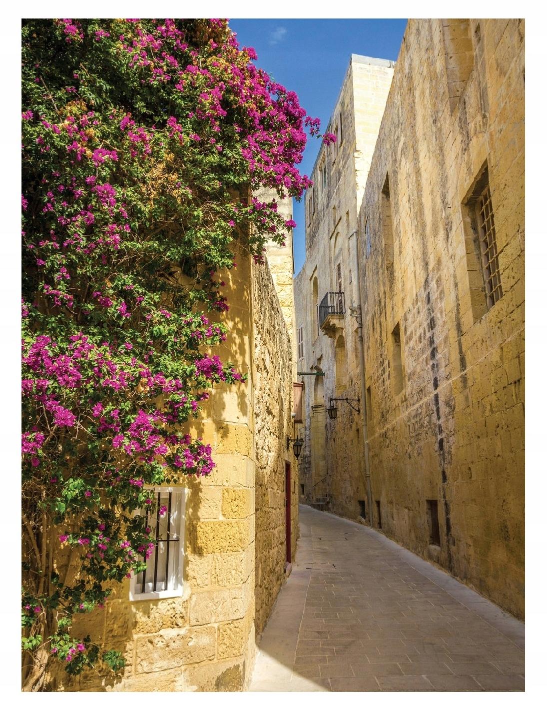 Fototapeta Ulička V Toskánsku S Květinami 184x254