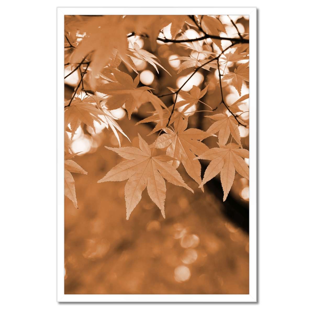 Plakáty v rámu 40x60 Sepia Podzimní listy