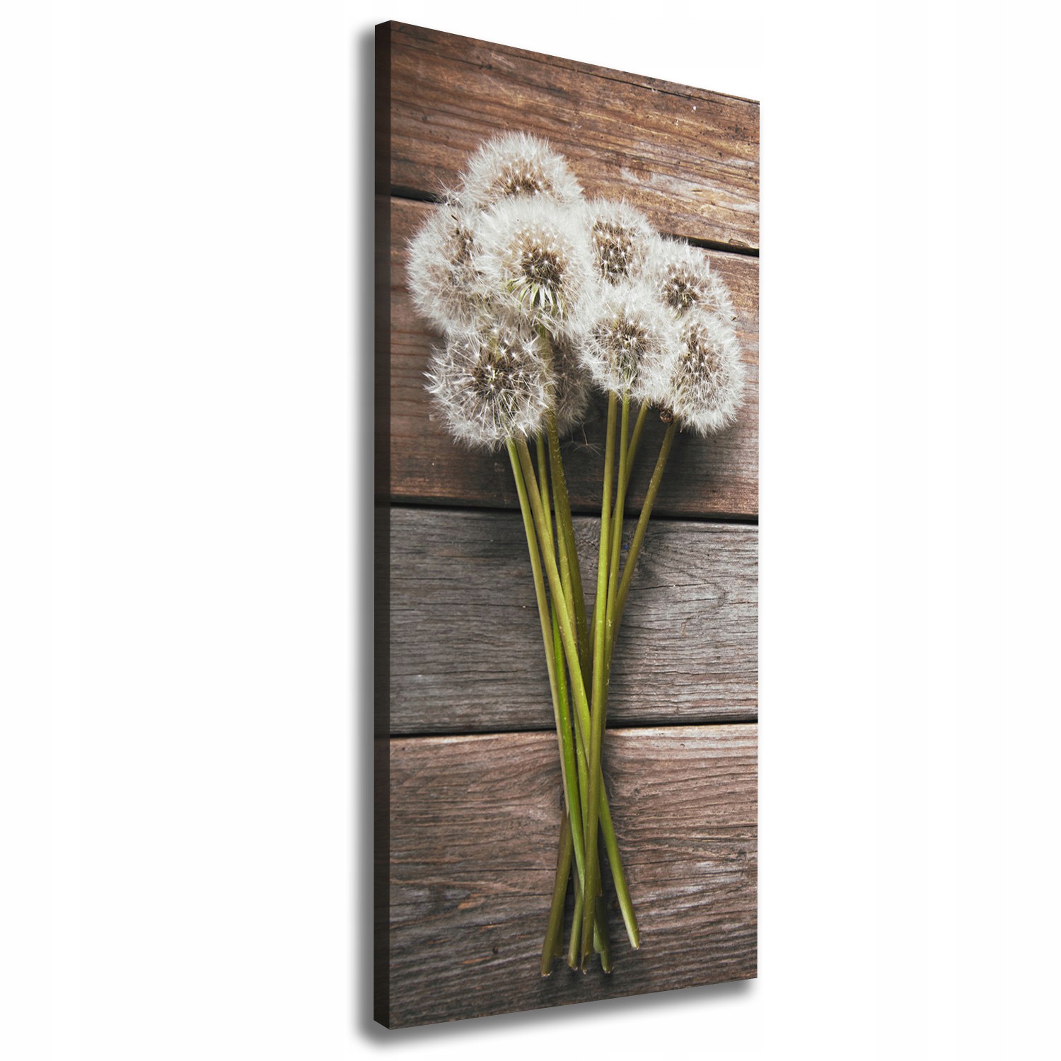 

Foto obraz na płótnie Bukiet dmuchawców 50x125 cm