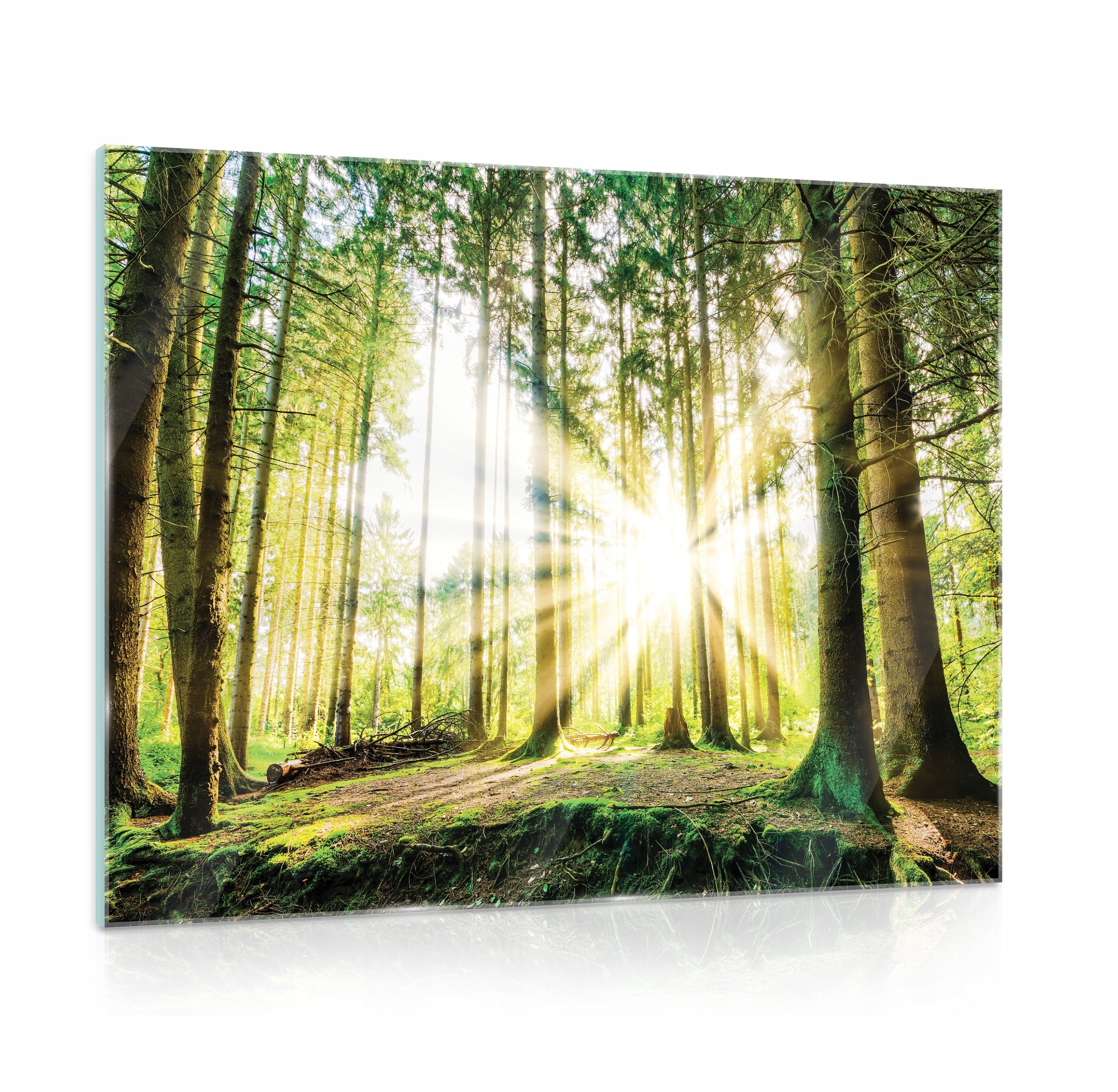 Skleněný obraz na skle Les Příroda Krajina 80x60