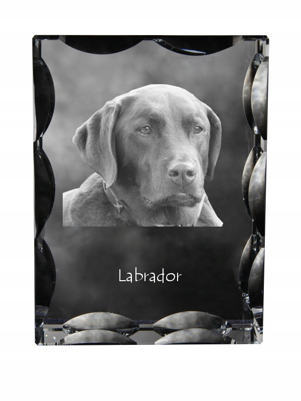 Labradorský retriever fotografia psa v ozdobnom kryštáli, suvenír, dekorácia