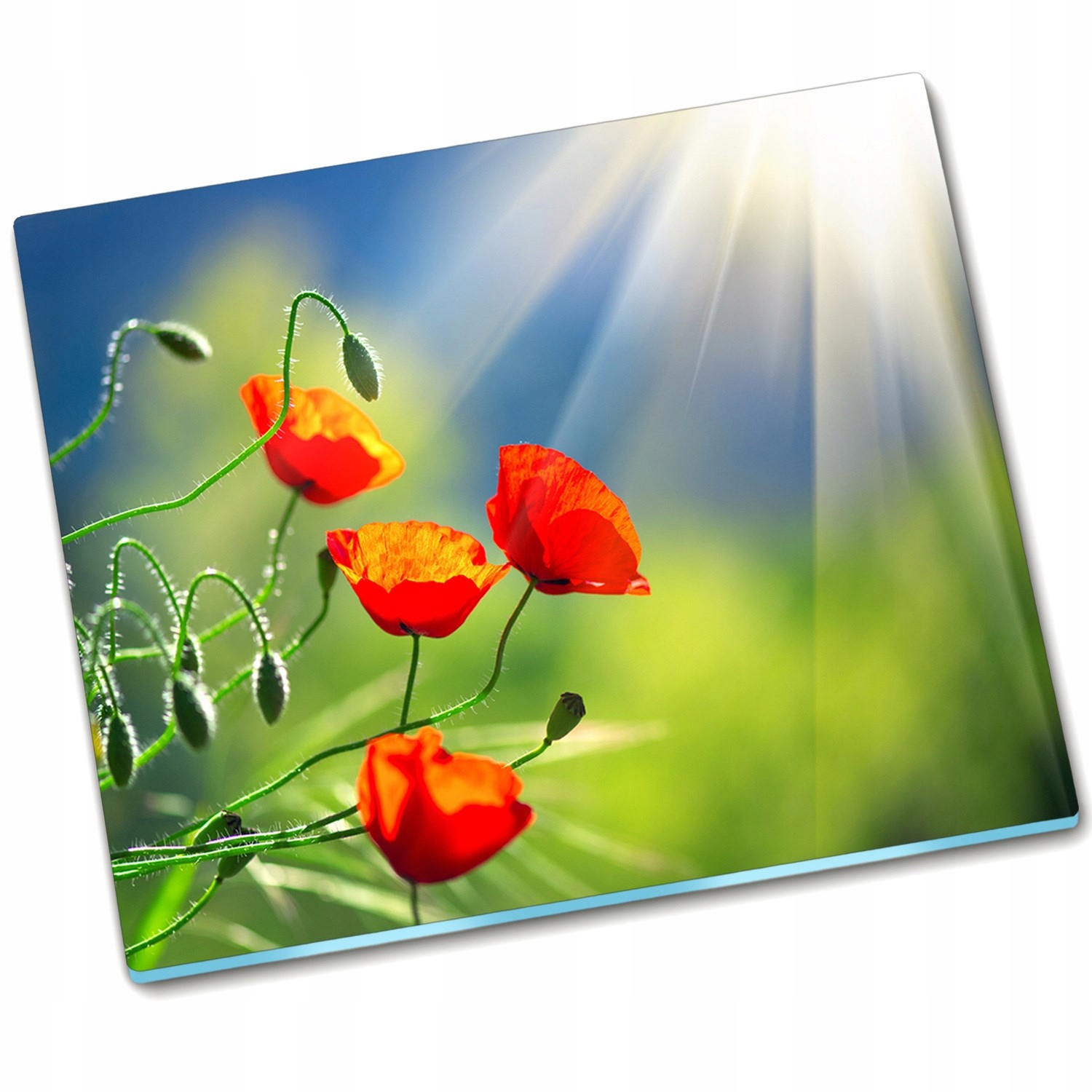 

Płyta ochronna na indukcję Słońce i Maki 60x52