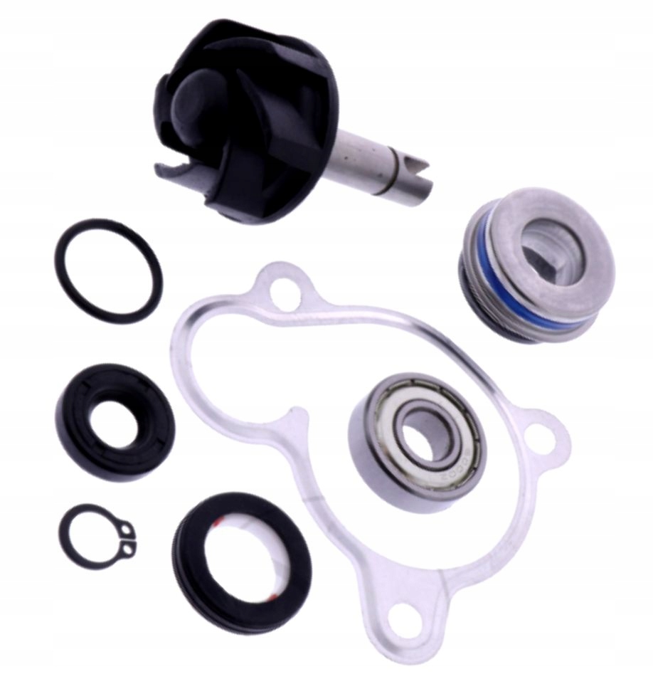 Komplet Na Opravu Vodného Čerpadla Italjet Jupiter 250 Malaguti Madison Password