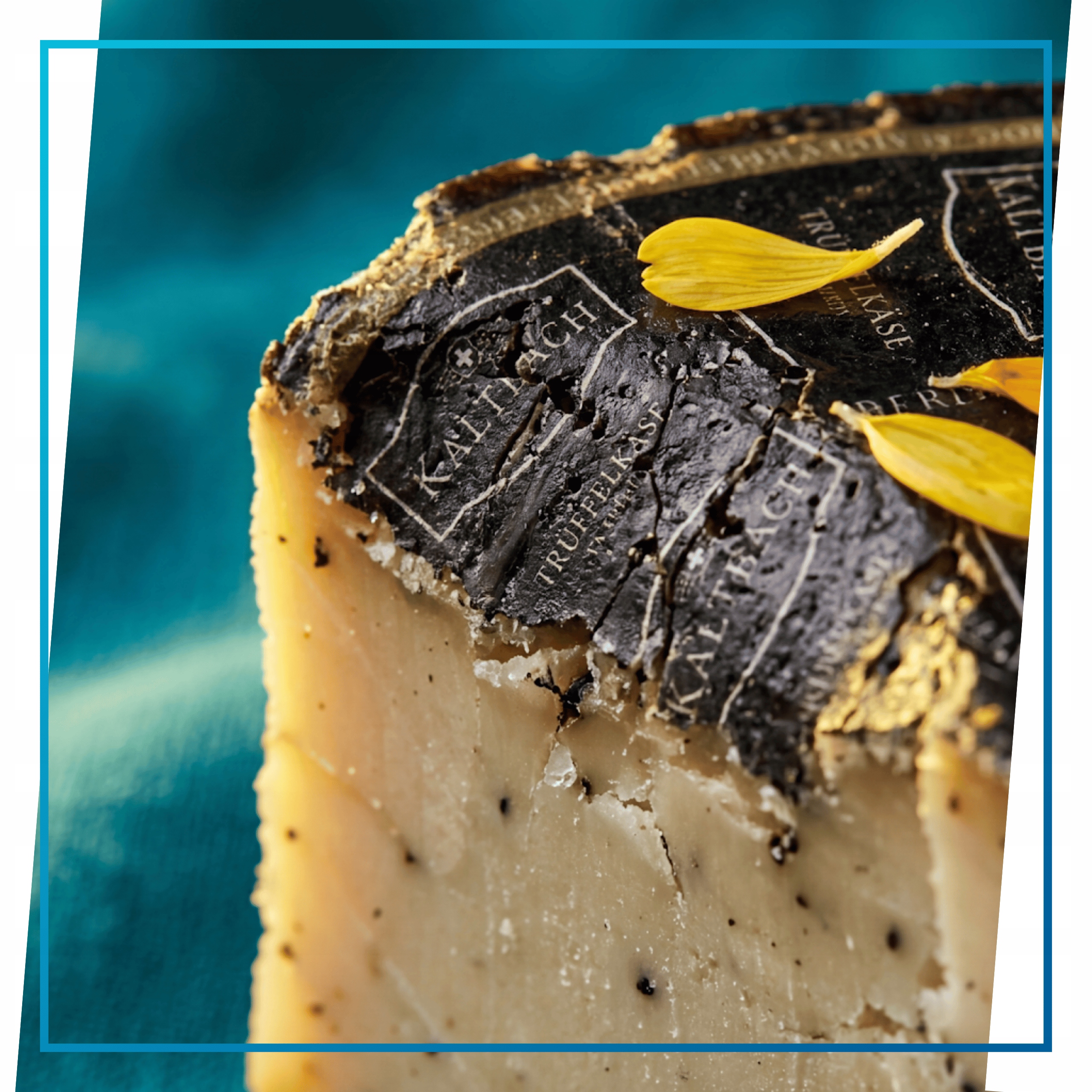 Szwajcarski Ser Kaltbach Aop Z Truflami Kremowy Intensywny 1 kg Flomaro