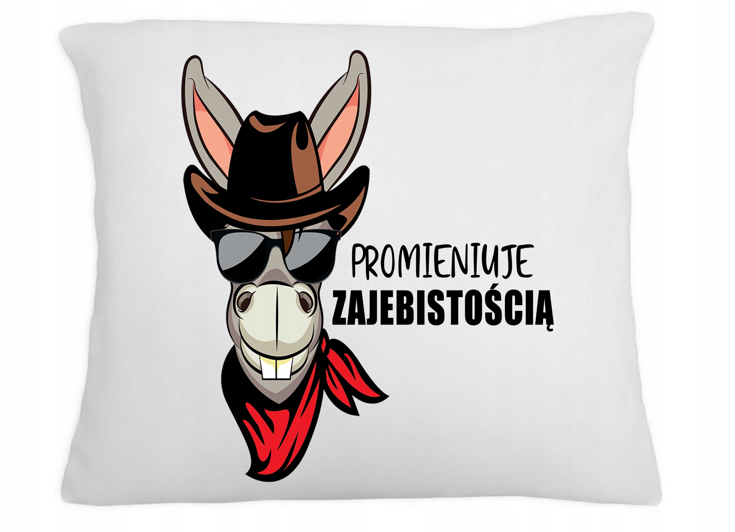 

Poduszka Śmieszny Nadruk Promienuje