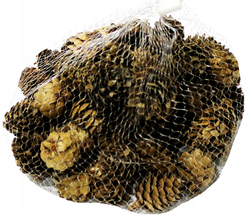 

Szyszki Naturalne Dekor 3 cm Zestaw 72 szt