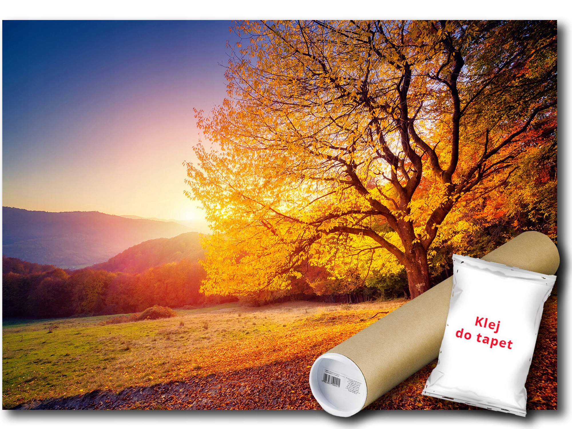 Vinylová Fototapeta Venkovní Krajina Strom Podzim Hory Slunce Pohled 254x184