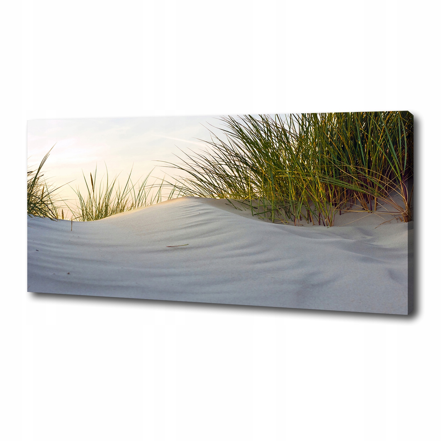 

Foto obraz na płótnie Nadmorskie wydmy 125x50 cm