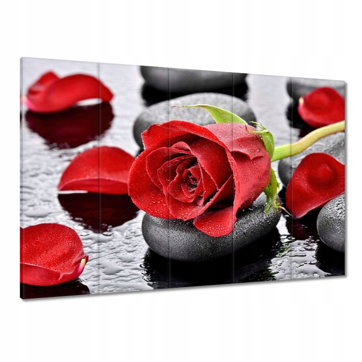 Obrazy 225x160 Czerwona róża dla Niej