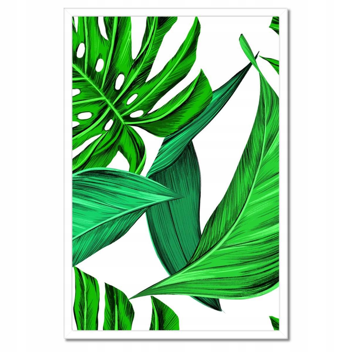 Plakáty v rámu 40x60 Šťavnatá Monstera Tropiki