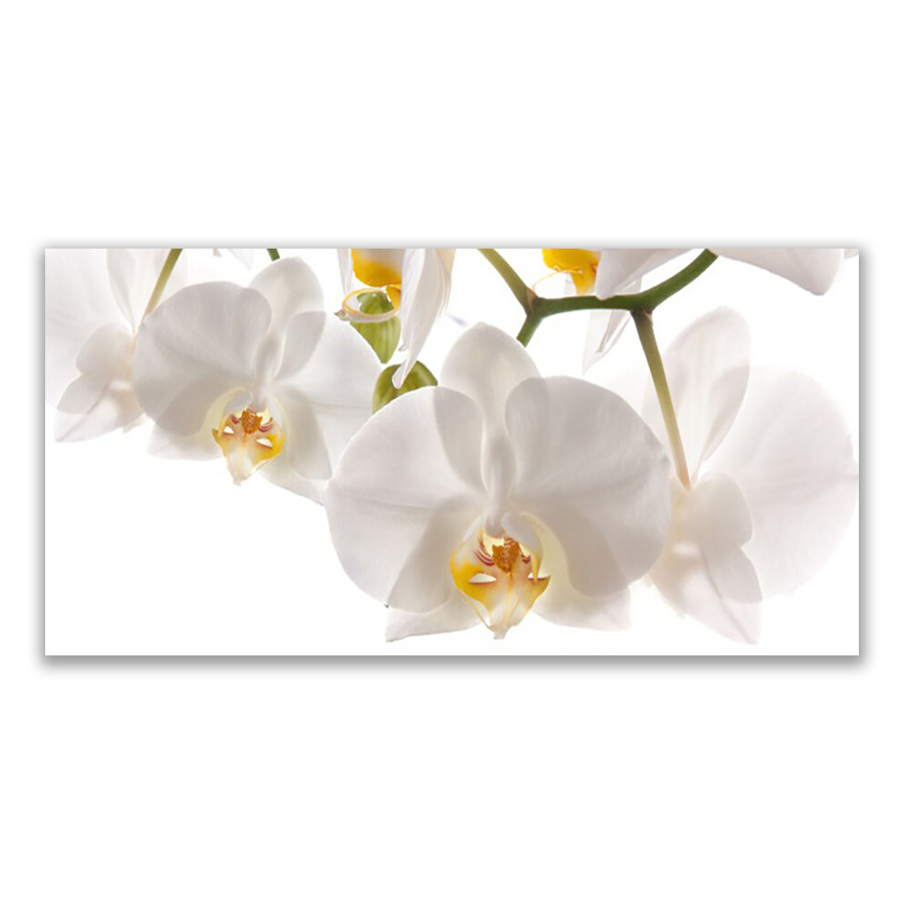 

Fotoobraz na prezent 120x60 Orchidea Kwiaty Natura