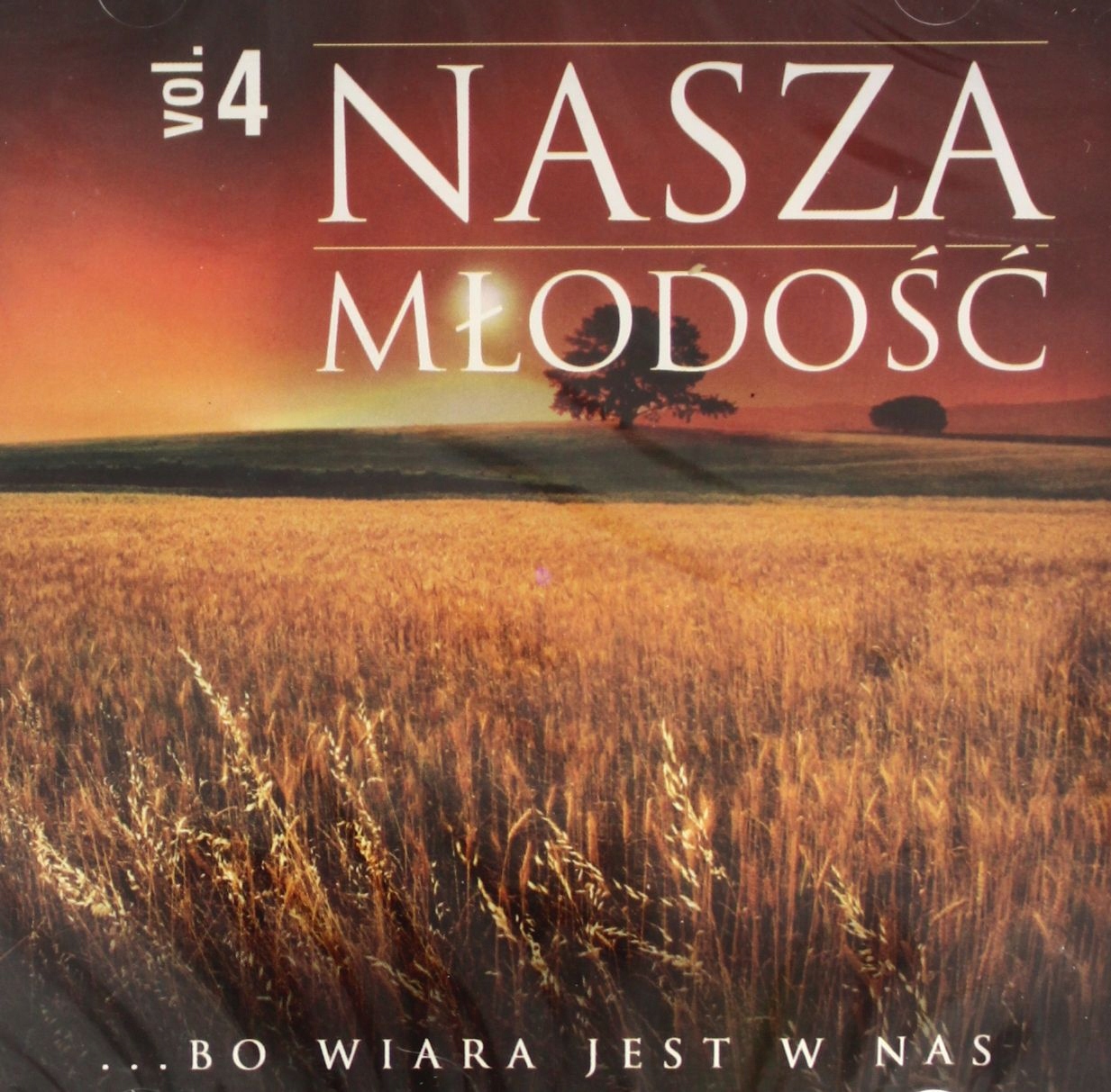 Nasza Młodość Vol. 4 [CD]