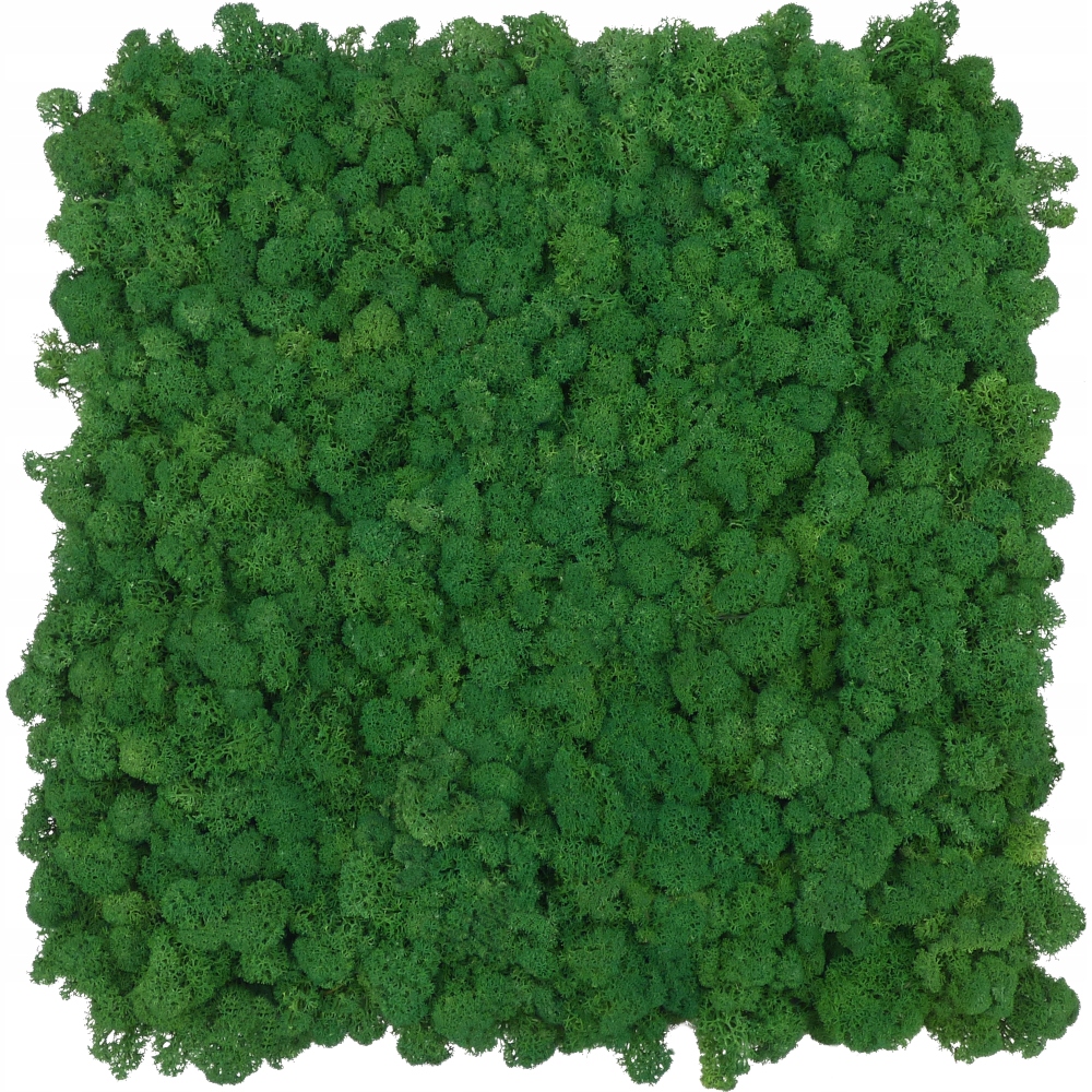 Panel z chrobotka Premium Forest Green na míru 40x40 cm