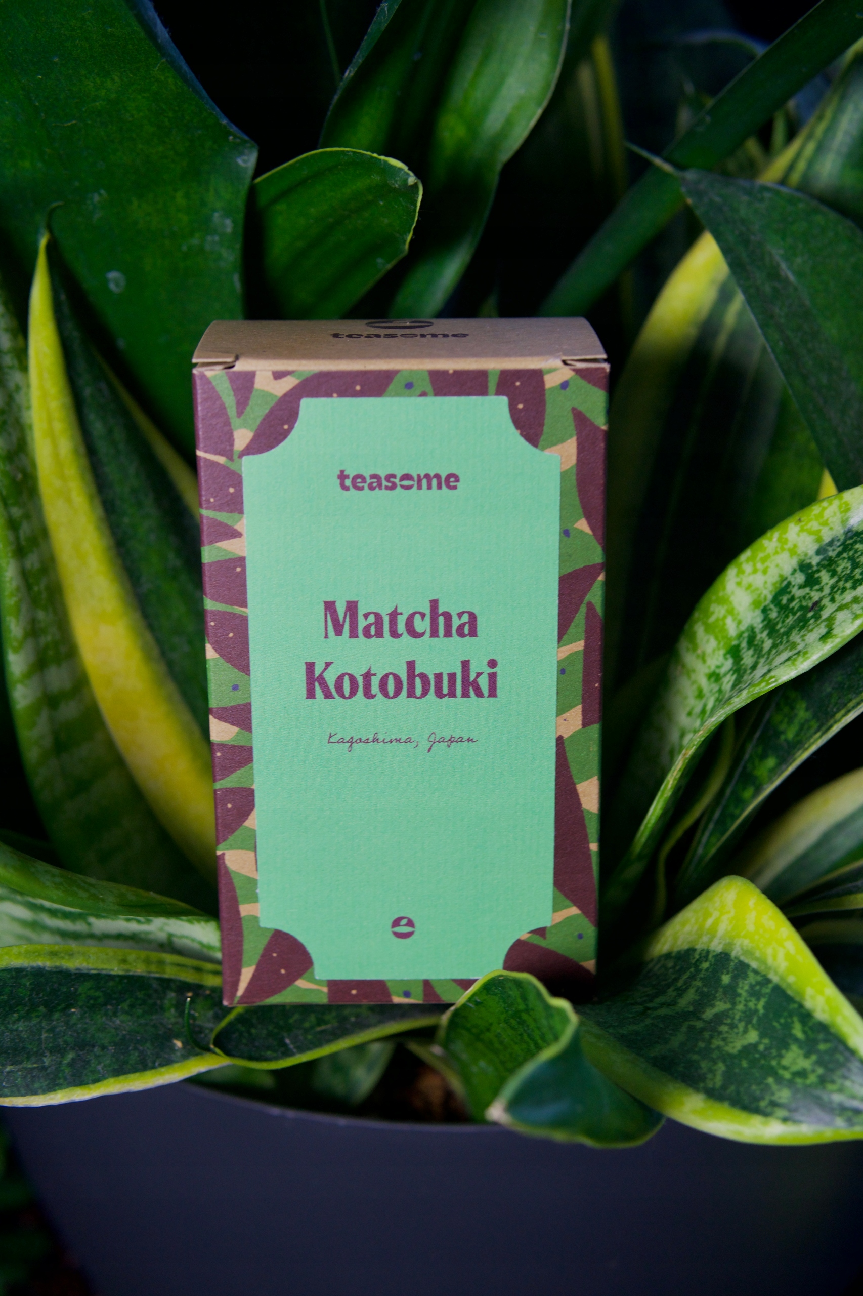 Levně Teasome Matcha Kotobuki