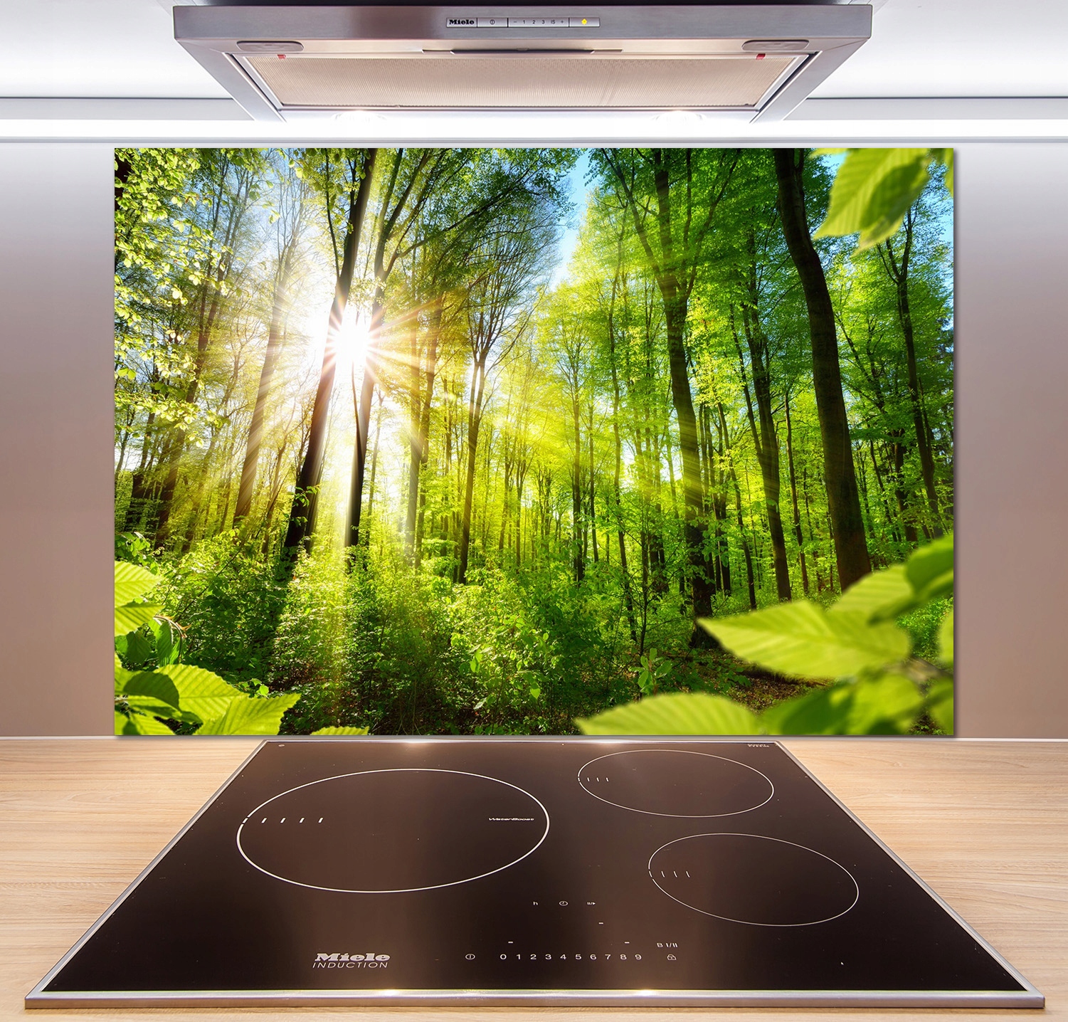 

Panel dekor szkło Las w słońcu 100x70 cm + Klej