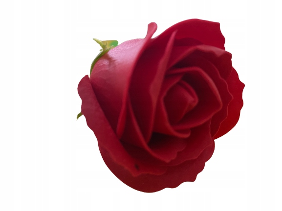 

Róża Róże mydlana Flower Box Dzień Kobiet