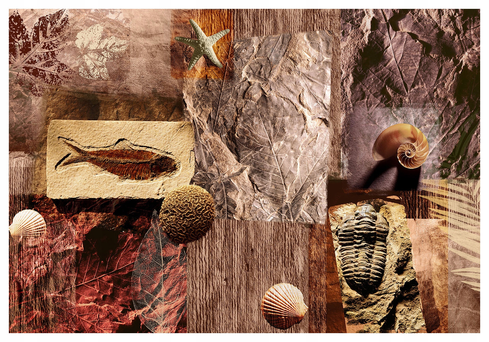 Tapeta Zkameněliny Paleontologická koláž historie Země 208x146 lepidlo