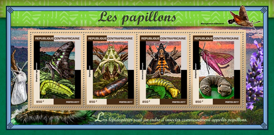 Motyle, owady Cent. Afryka arkusik #CA17410a