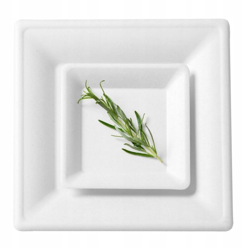 TALERZ EKO Z TRZCINY CUKROWEJ KWADRAT 26CM A50 BIO Marka inna