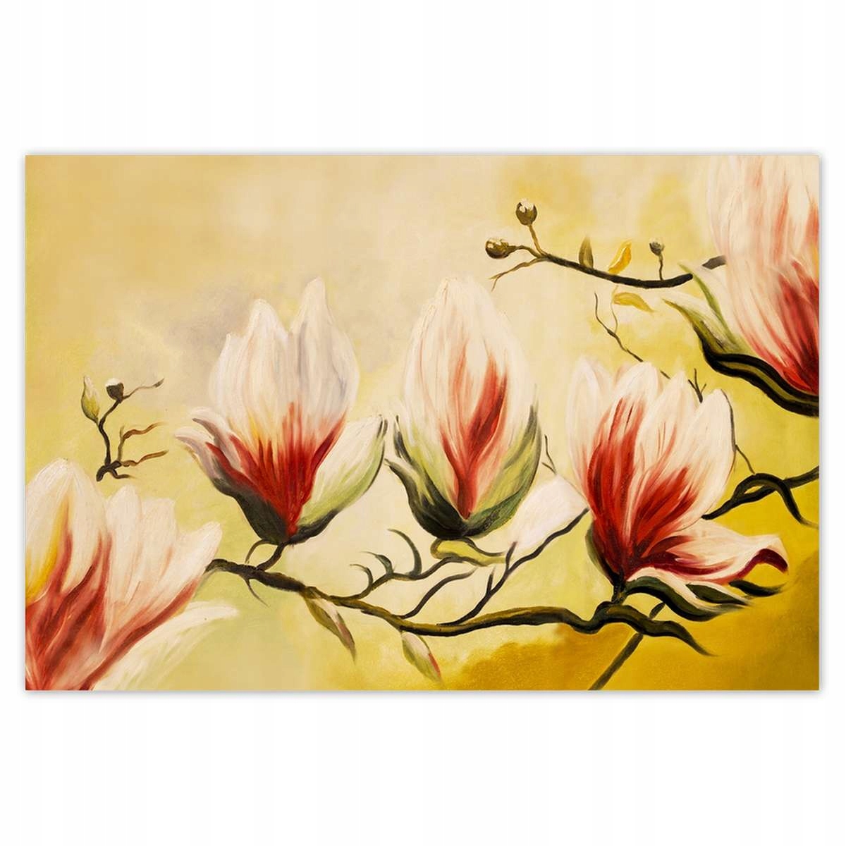Plakáty 200x135 Magnolie
