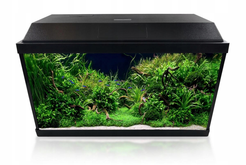 

Invital Led zestaw 60L z biofiltrem i grzałką