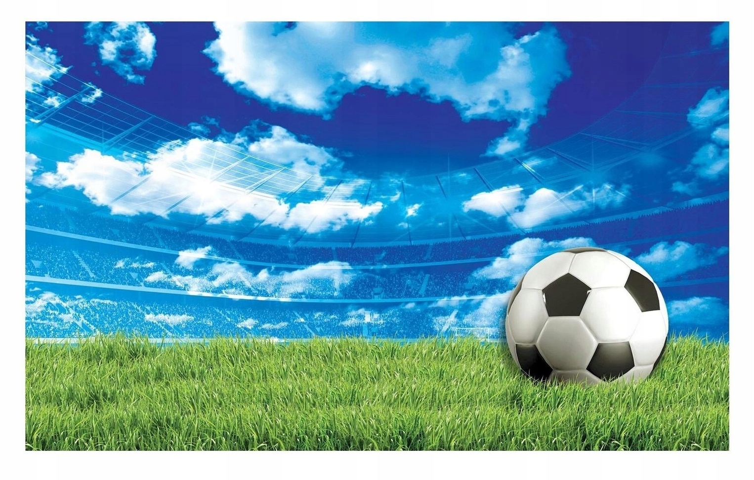 Fototapeta Fotbal Mládež Hřiště 312x219