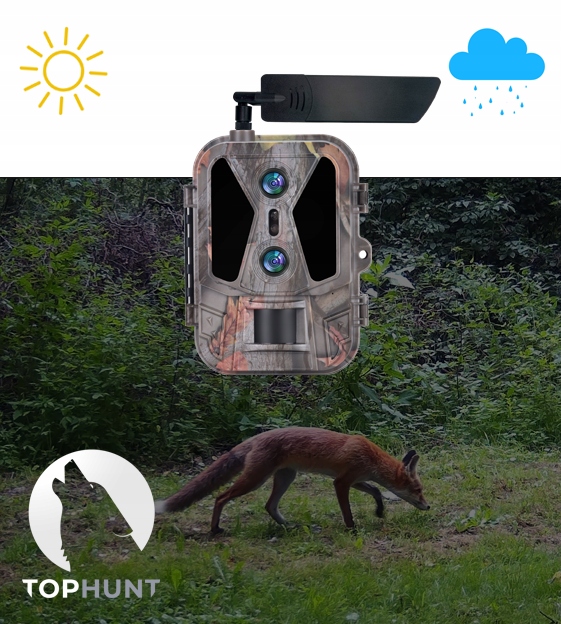 Fotopułapka Gsm Kamera leśna sim Podgląd na żywo HC-950Pro Chmura Stan opakowania oryginalne